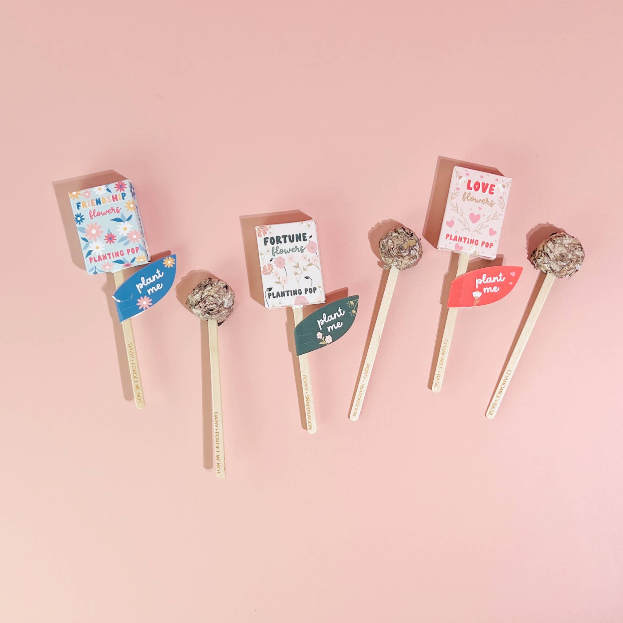 Planting Pops- Hometown Style HTS, women's in store and online boutique located in Ingersoll, Ontario