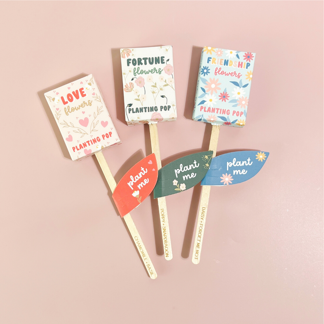 Planting Pops- Hometown Style HTS, women's in store and online boutique located in Ingersoll, Ontario