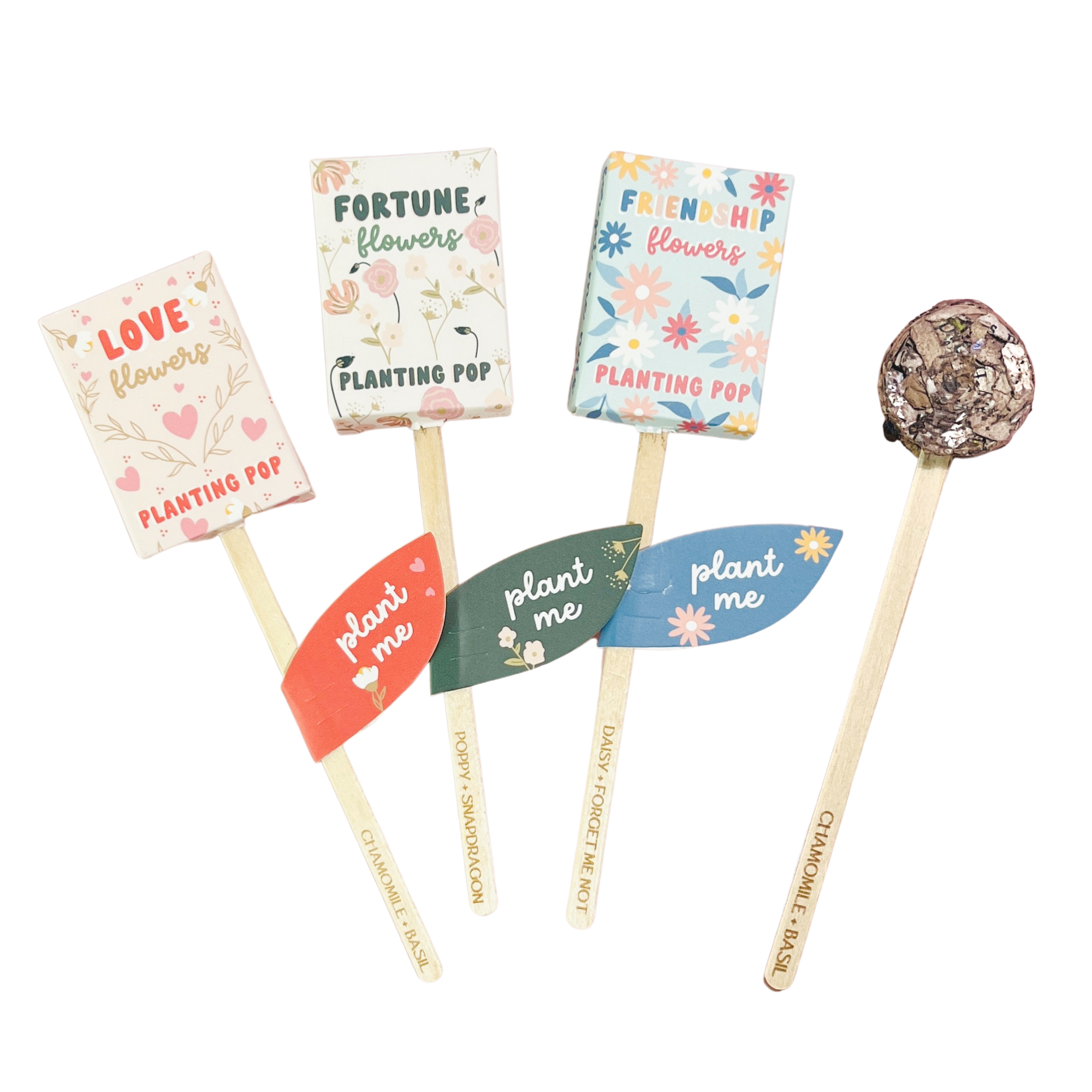Planting Pops- Hometown Style HTS, women's in store and online boutique located in Ingersoll, Ontario