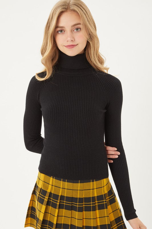 Turtleneck Ribbed Sweater - Black-Sweater- Hometown Style HTS, women's in store and online boutique located in Ingersoll, Ontario
