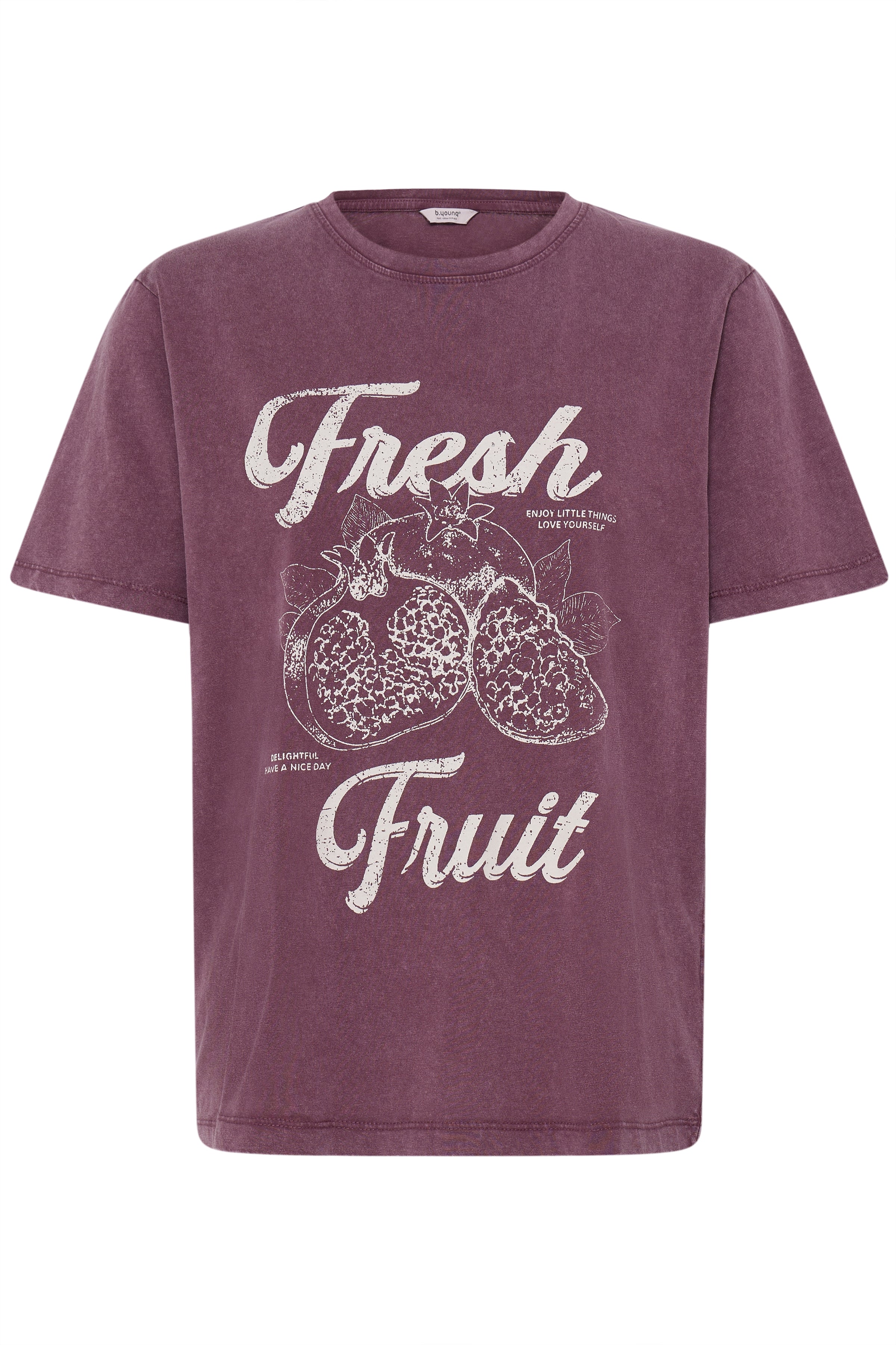 BYSOLKO FRUITY TSHIRT - Fig-Casual Tops- Hometown Style HTS, women's in store and online boutique located in Ingersoll, Ontario