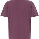 BYSOLKO FRUITY TSHIRT - Fig-Casual Tops- Hometown Style HTS, women's in store and online boutique located in Ingersoll, Ontario