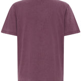 BYSOLKO FRUITY TSHIRT - Fig-Casual Tops- Hometown Style HTS, women's in store and online boutique located in Ingersoll, Ontario