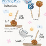 Planting Pops- Hometown Style HTS, women's in store and online boutique located in Ingersoll, Ontario