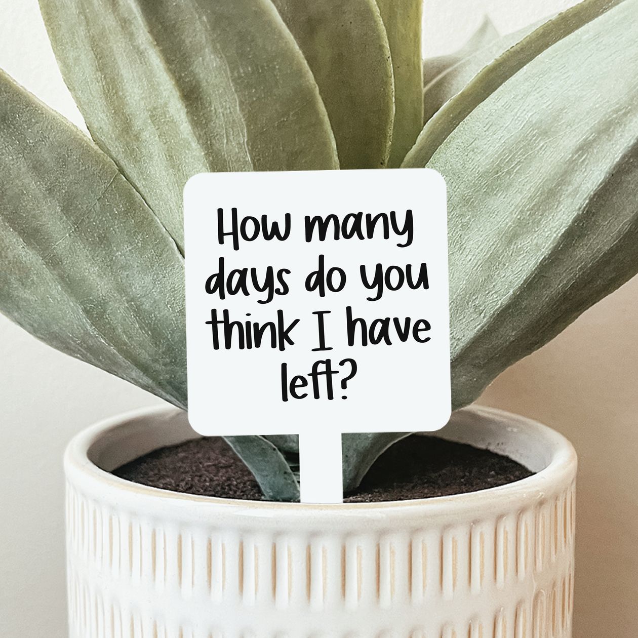 How Many Days Do You Think I Have Left Plant Stake-Gifts & Accessories- Hometown Style HTS, women's in store and online boutique located in Ingersoll, Ontario