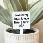 How Many Days Do You Think I Have Left Plant Stake-Gifts & Accessories- Hometown Style HTS, women's in store and online boutique located in Ingersoll, Ontario