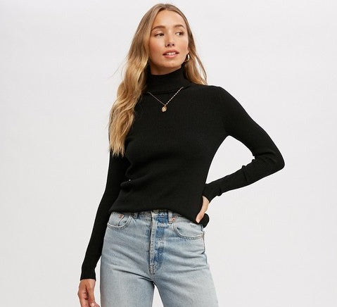 Rib Turtle Neck - Black-Shirts & Tops- Hometown Style HTS, women's in store and online boutique located in Ingersoll, Ontario